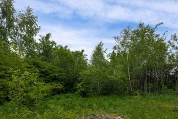 Участок 30 соток на опушке леса - 48023 Участок 30 соток на опушке леса - 48023