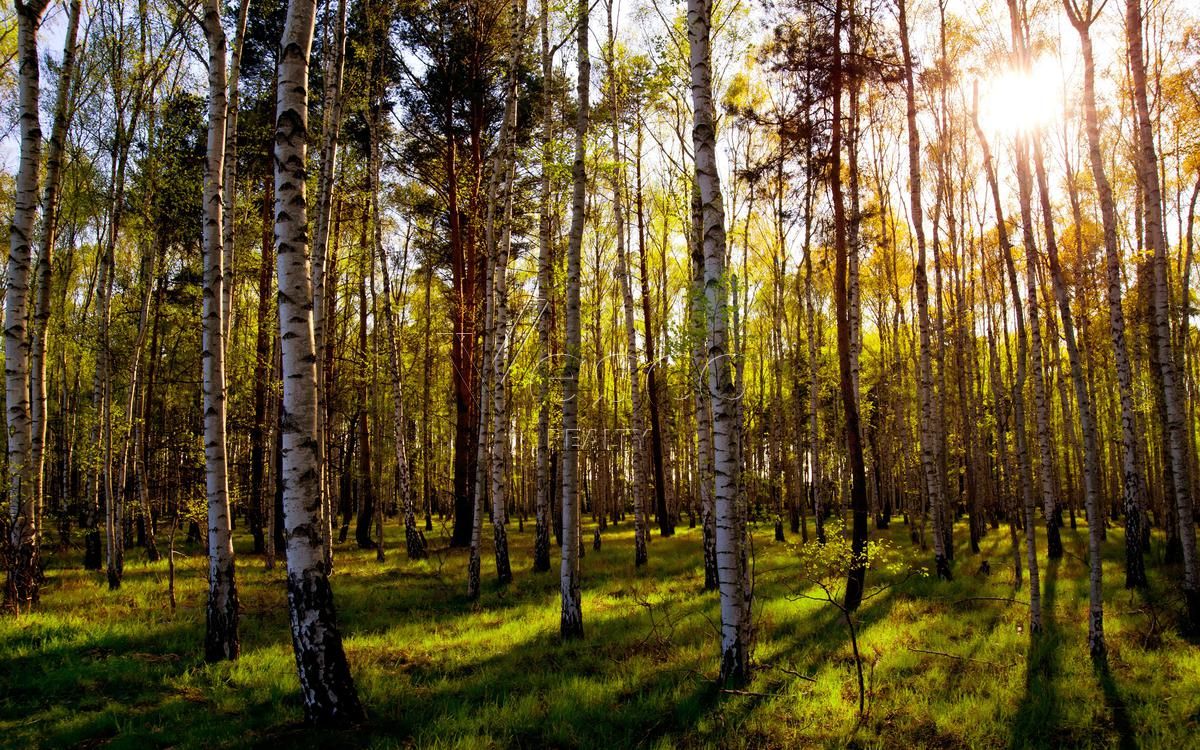 Участок