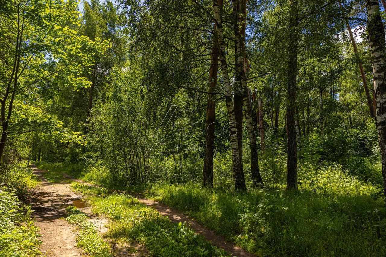 Большой участок в Петрово-Дальнее