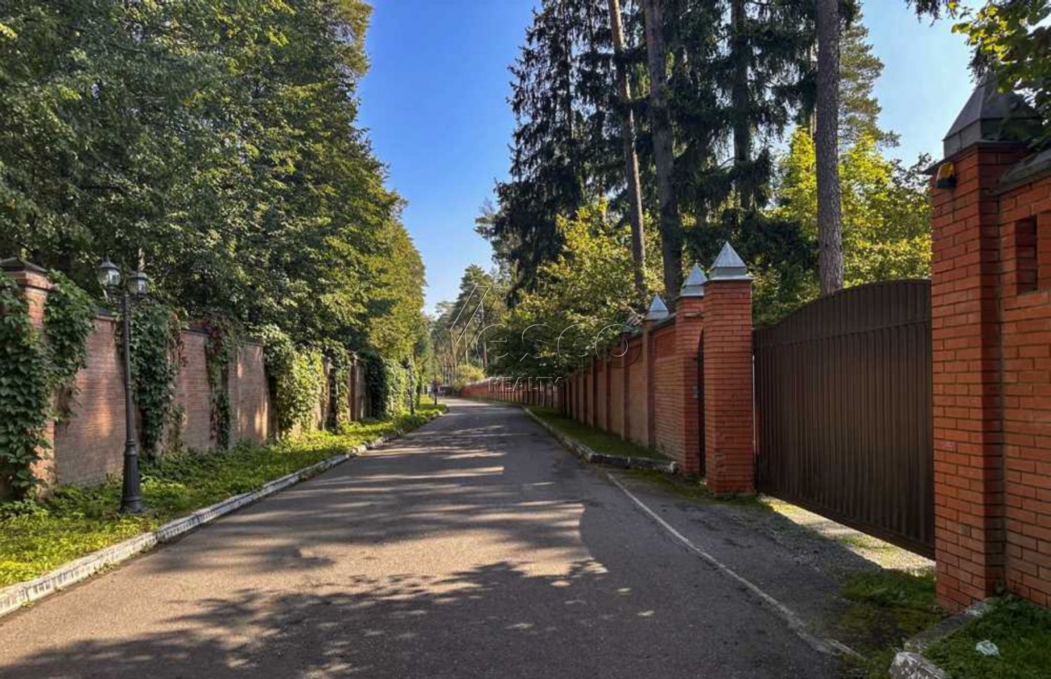 Лесной массив под Звенигородом
