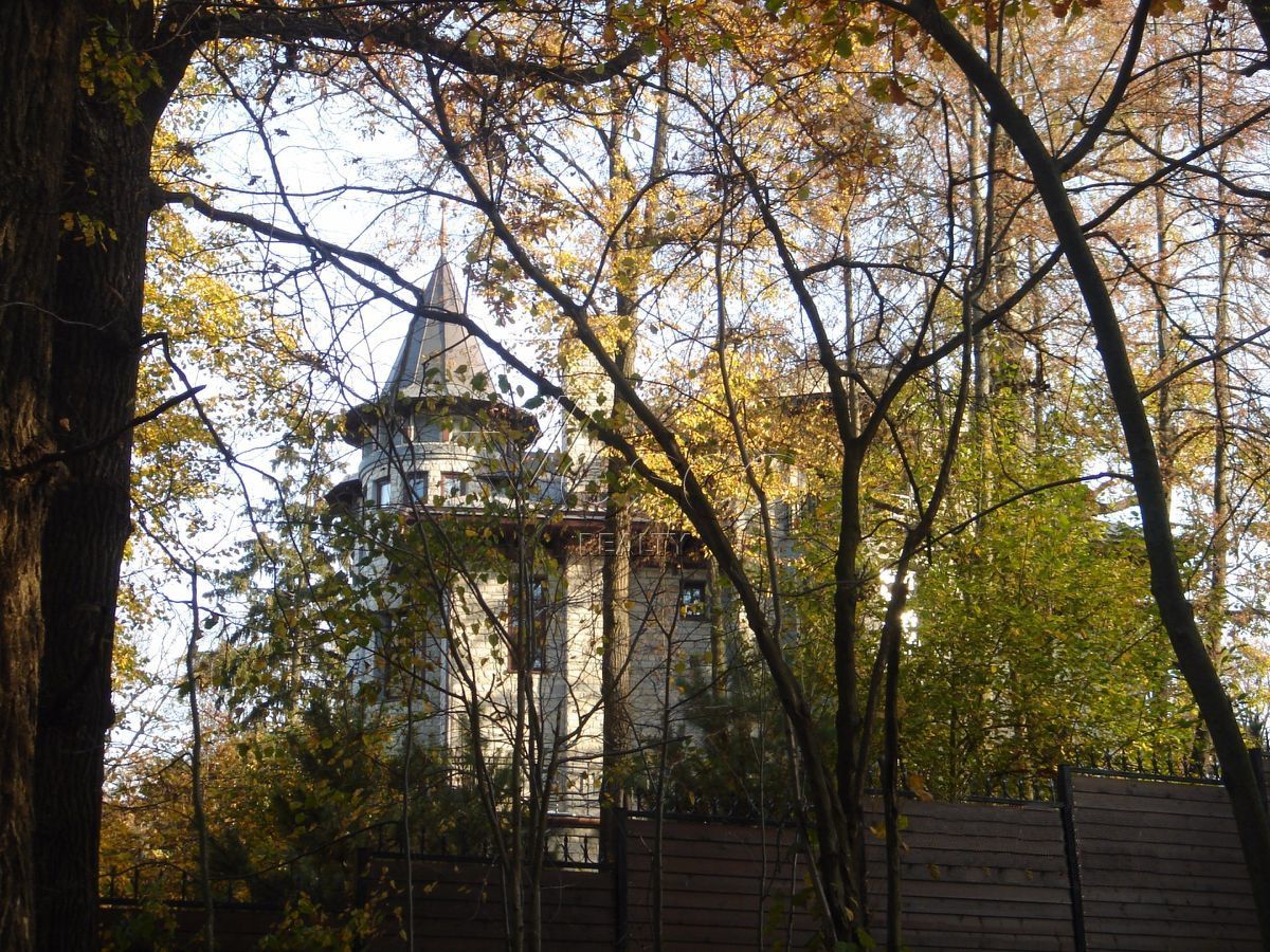 Большой лесной участок