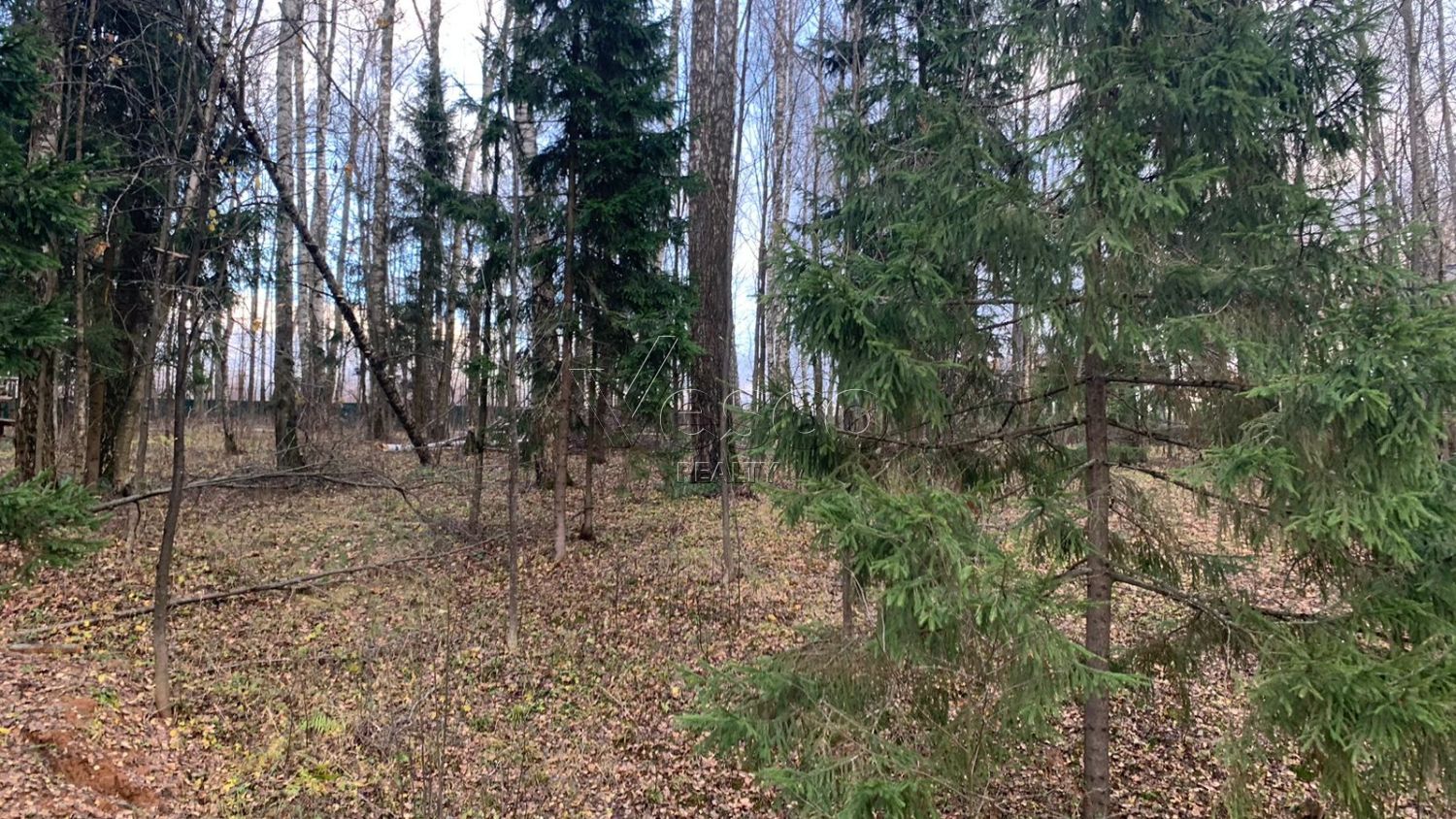 Лесной участок с центральными коммуникациями
