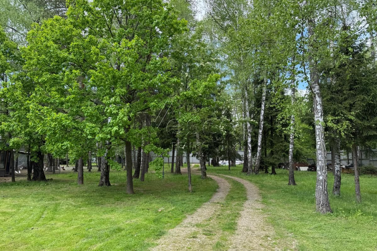 Лесной участок