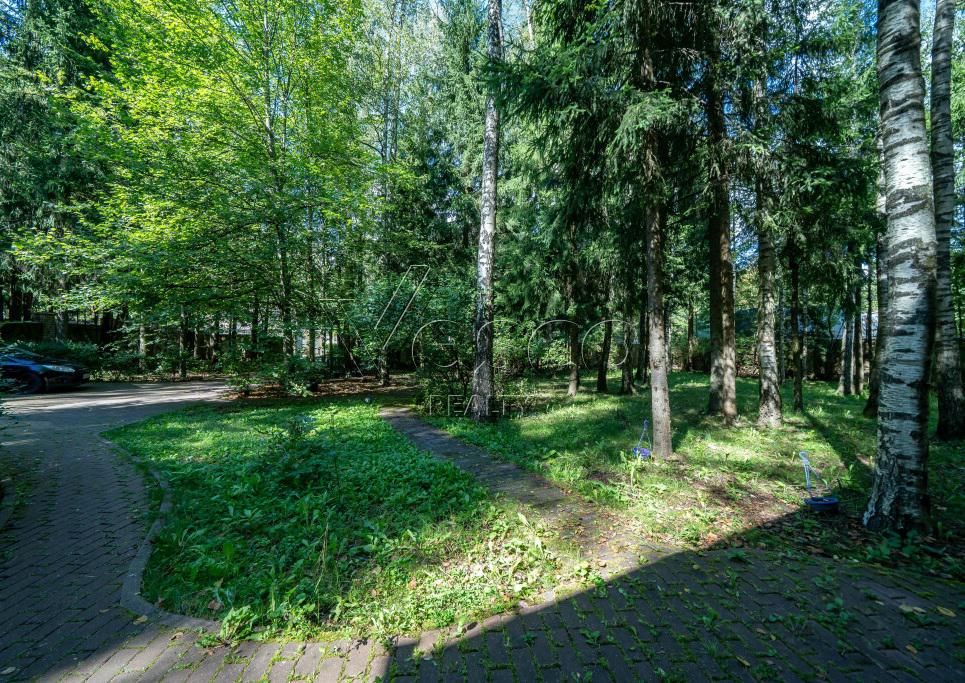 Лесной участок 32 сотки