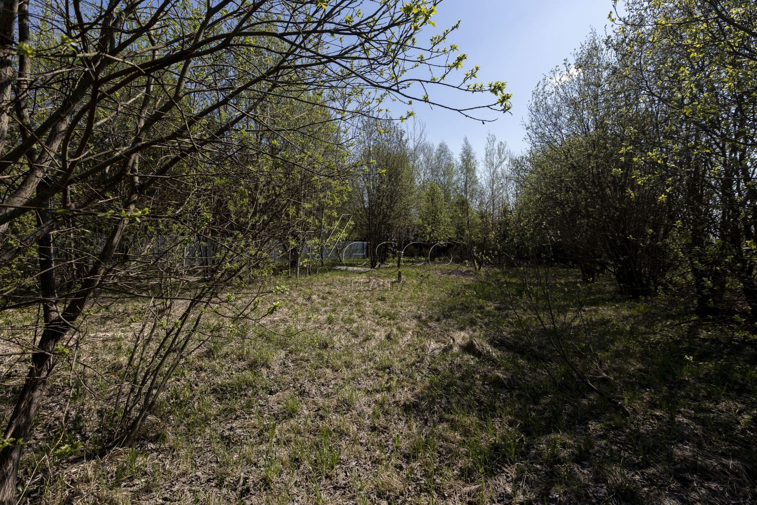 Ровный участок без застройки