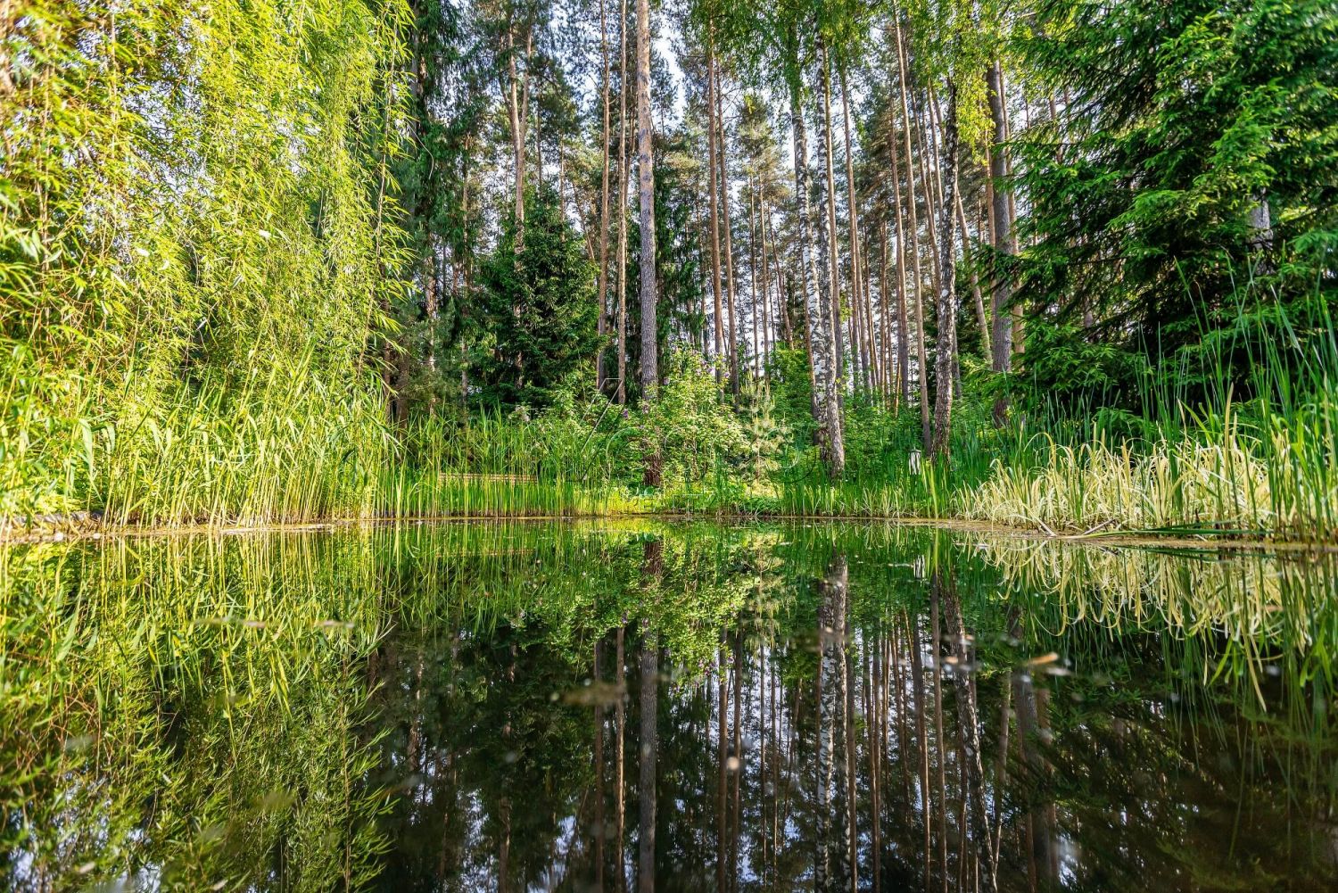 “Hideaway Residence” с исключительной приватностью