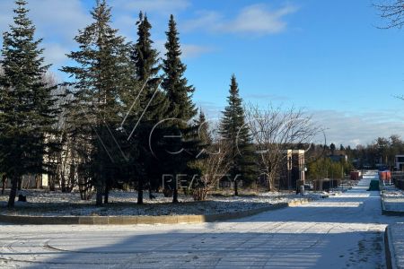 Сокольники Парк