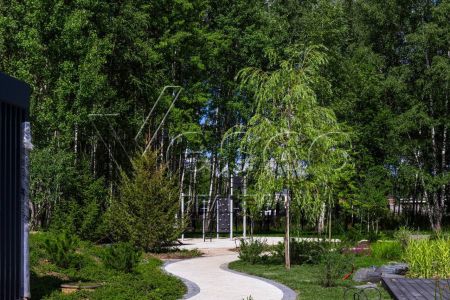 Кристал Форест