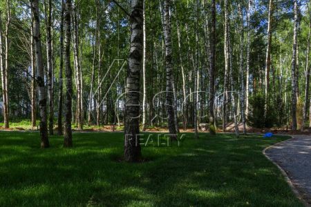 Кристал Форест