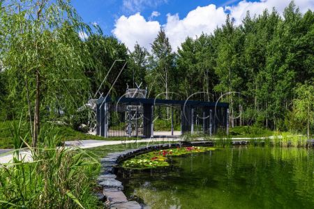 Кристал Форест