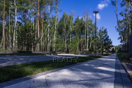 Кристал Форест