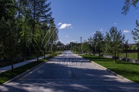 Кристал Форест