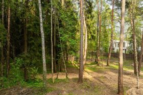 Участок в лесу