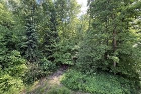 Большой участок 60 соток