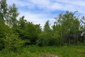 Участок 30 соток на опушке леса