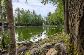Участок 30 соток на опушке леса