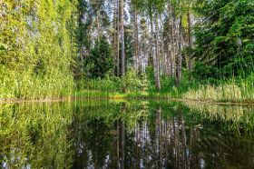 “Hideaway Residence” с исключительной приватностью