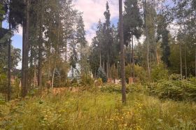Лесной участок рядом с озером