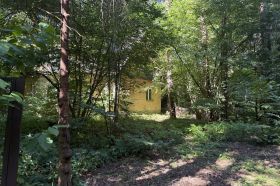 Большой лесной участок
