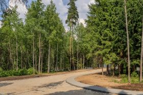 Участок в лесу