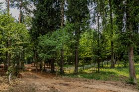 Участок в лесу