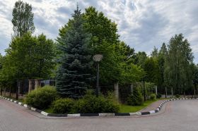 Просторный участок рядом с лесом