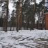 Лот №48015