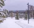 Кристал Истра