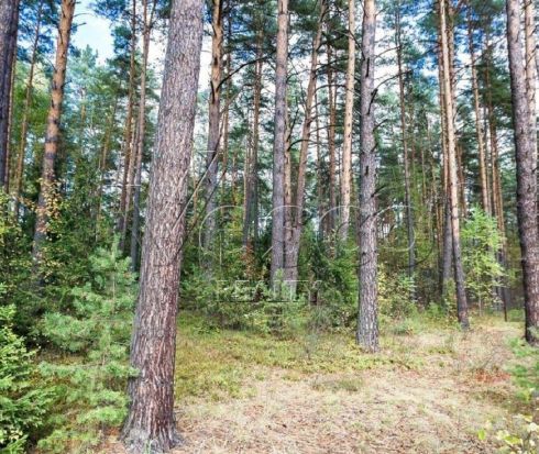 Участок в камерном поселке на берегу речки