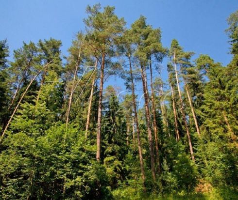 Участок в камерном поселке на берегу речки
