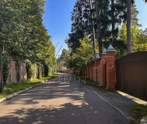 Лесной массив под Звенигородом