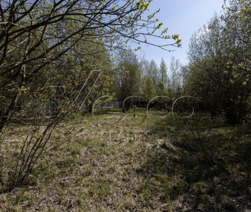 Ровный участок без застройки