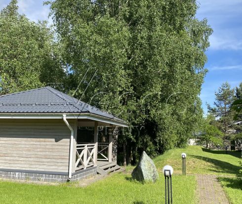 Большой участок 32 сотки с елями