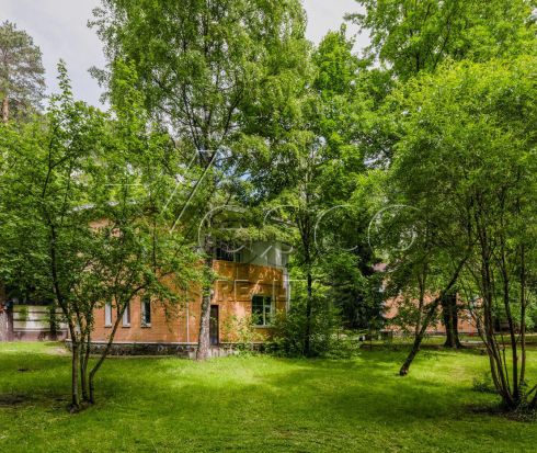Лесной участок правильной формы