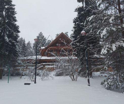 Большой лесной участок