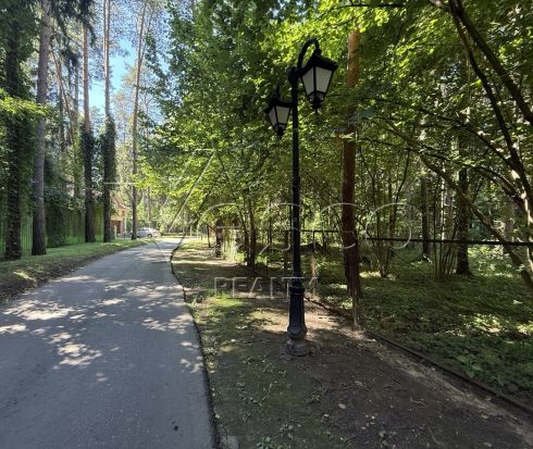 Большой лесной участок