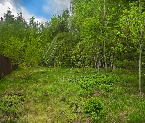 Большой участок рядом с лесом