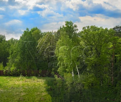 Большой участок рядом с лесом