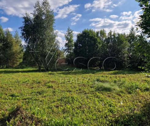 Просторный участок с лесными деревьями